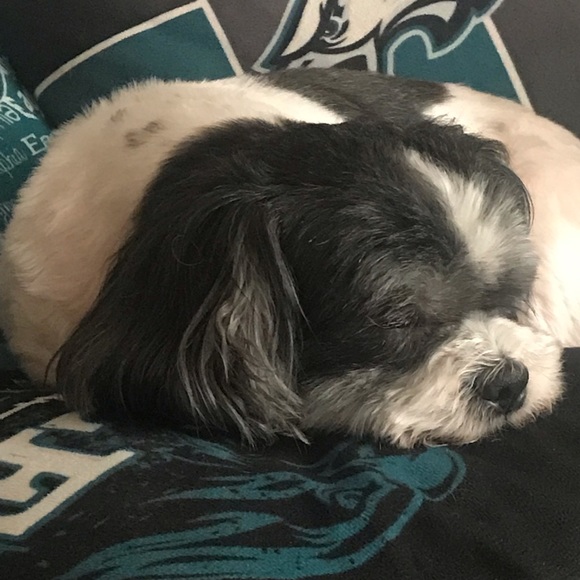 Meet Pam, a money savvy mama - Picture 16 of 16